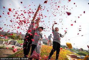 悼念亲人图片,永恒的思念与哀思