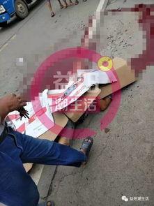 人被砍死图片,无辜生命陨落,社会安全警钟长鸣