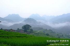 龙岩林照片,自然画卷中的绿色奇迹