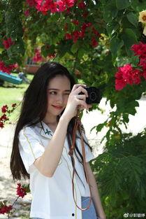 明星衣橱郭碧婷同款,明星衣橱里的时尚秘籍