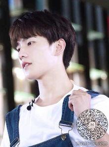 杨洋个人资料地址,从阳光少年到影视巨星,探寻他的成长之路