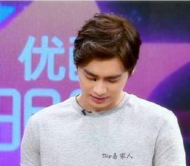 优酷全明星李易峰,李易峰闪耀全场,魅力四溢